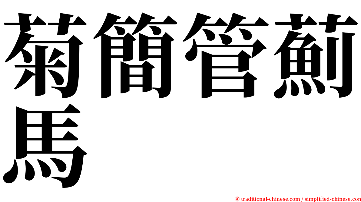 菊簡管薊馬 serif font