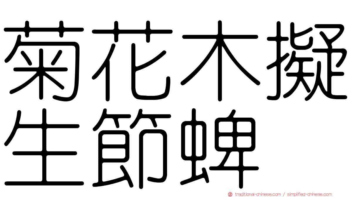 菊花木擬生節蜱