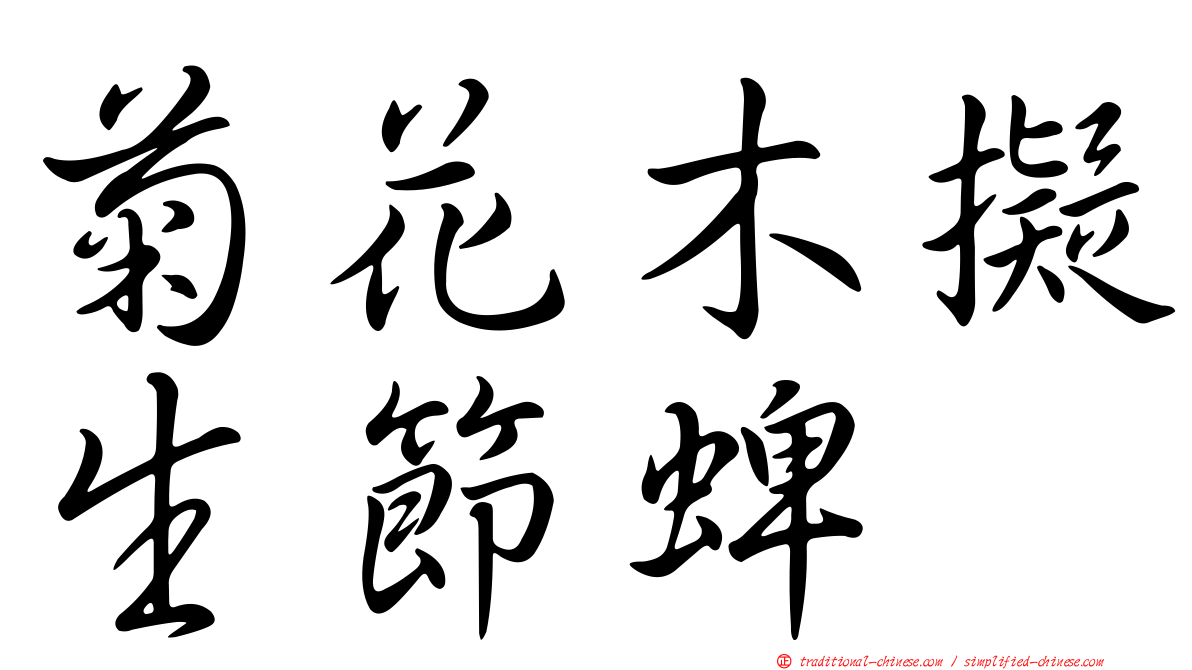 菊花木擬生節蜱
