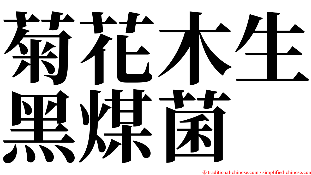 菊花木生黑煤菌 serif font
