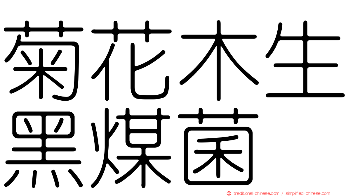 菊花木生黑煤菌