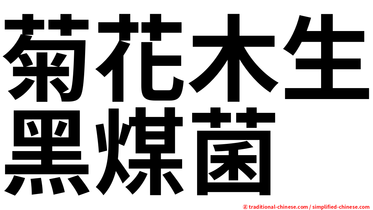 菊花木生黑煤菌