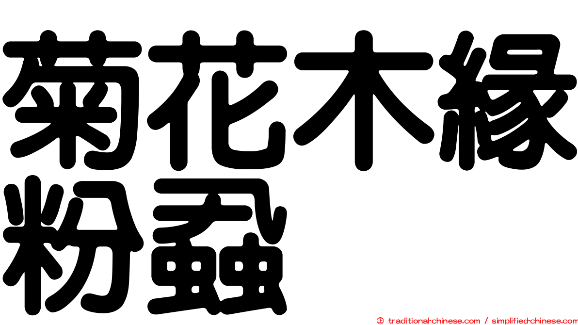菊花木緣粉蝨