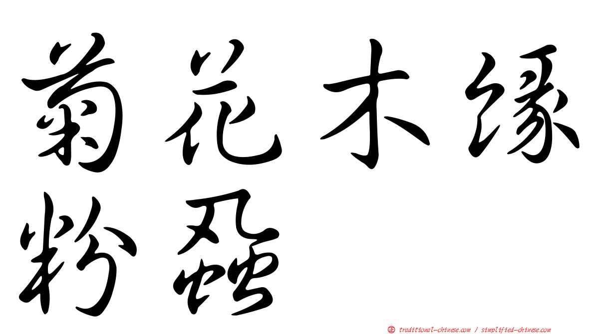 菊花木緣粉蝨