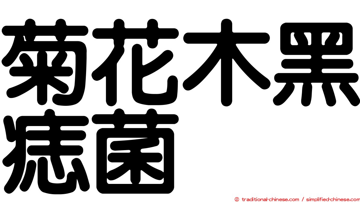 菊花木黑痣菌
