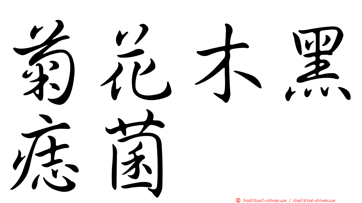 菊花木黑痣菌