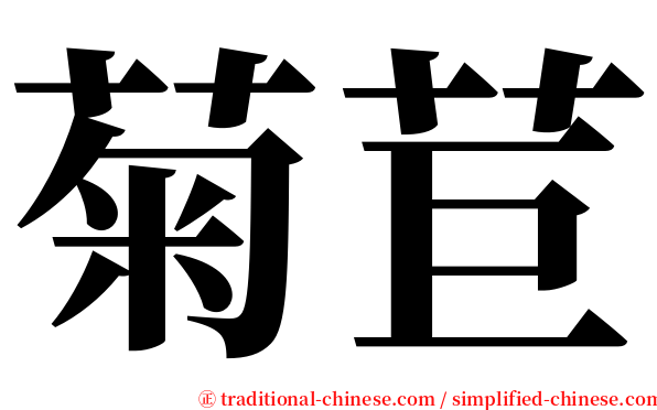 菊苣 serif font