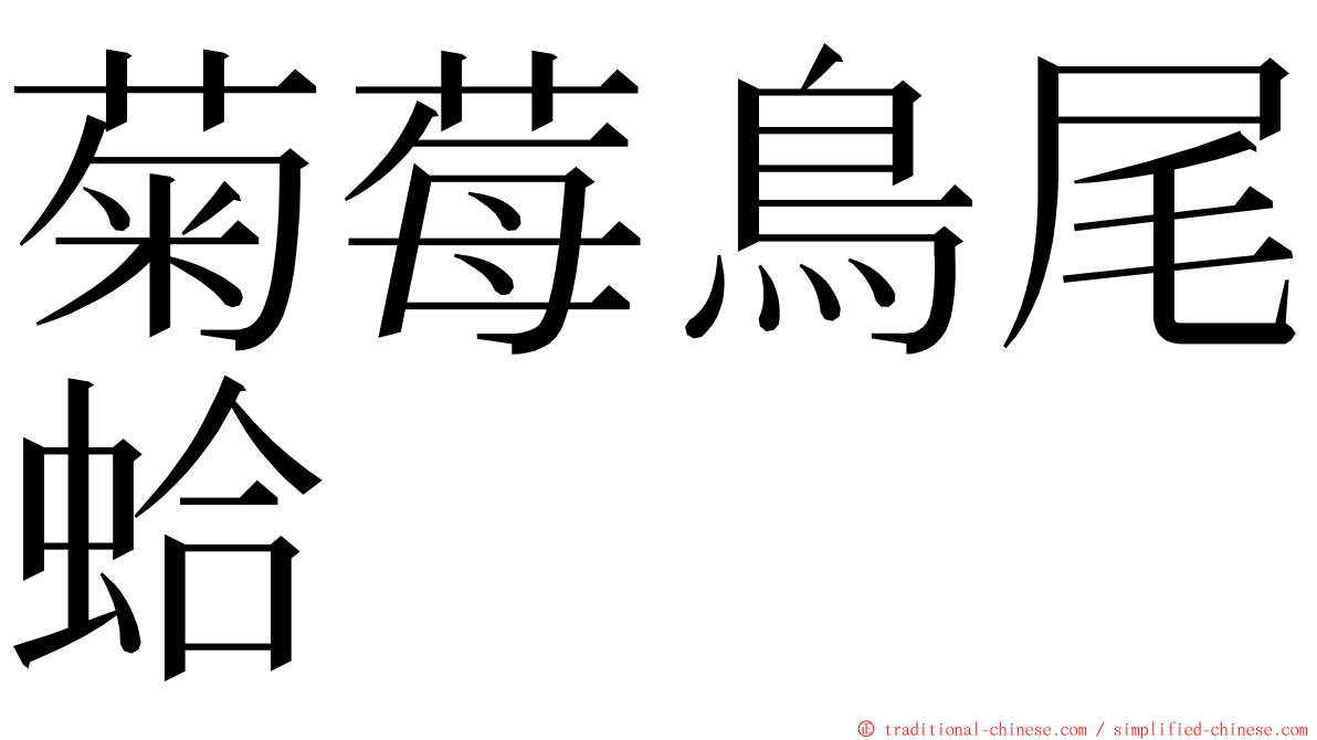 菊莓鳥尾蛤 ming font