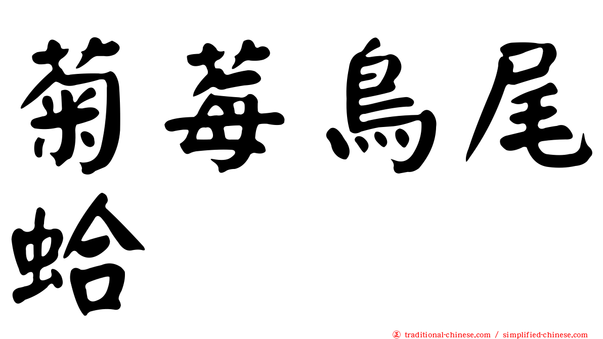 菊莓鳥尾蛤