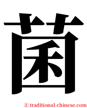 菌 serif font