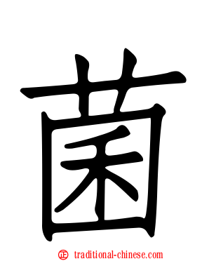 菌