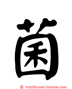 菌