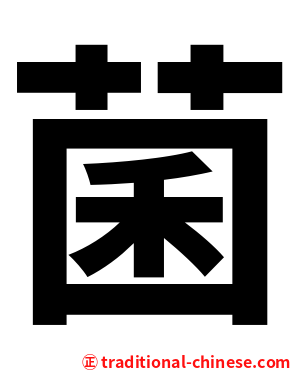 菌