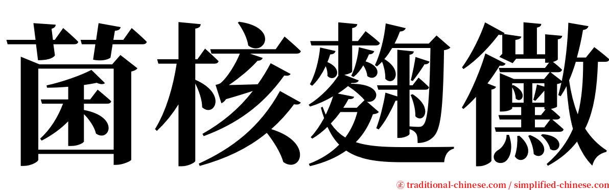 菌核麴黴 serif font