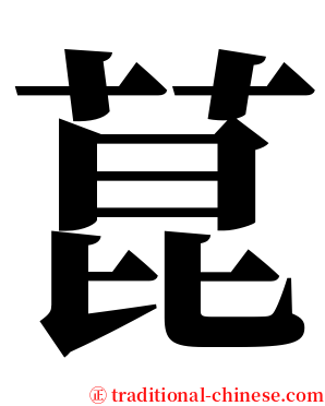 菎 serif font