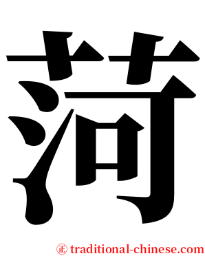 菏 serif font