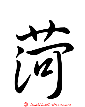 菏