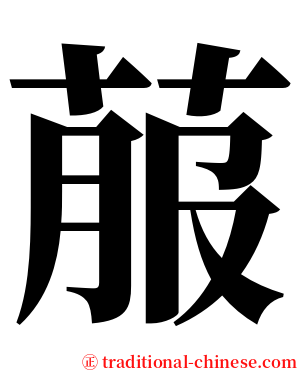 菔 serif font