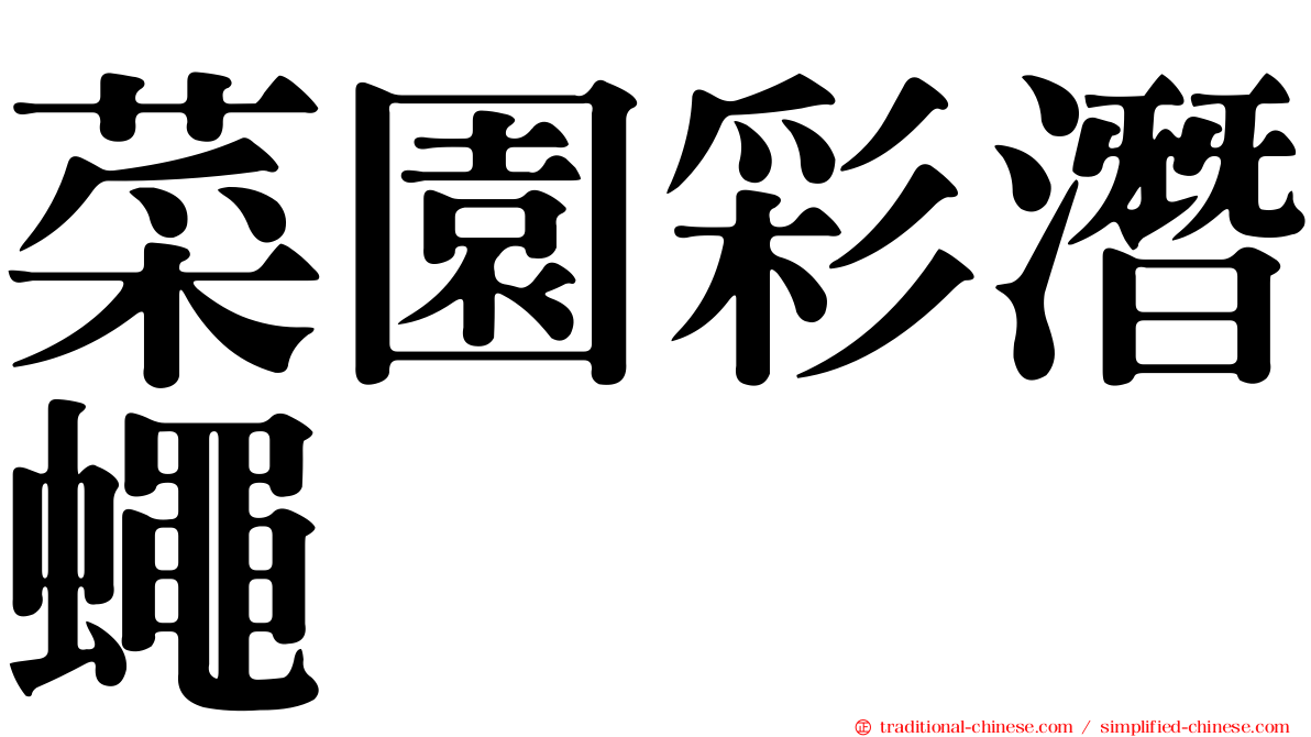 菜園彩潛蠅