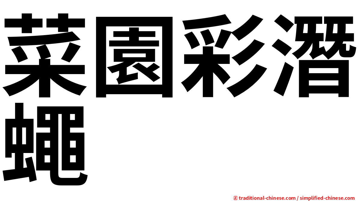 菜園彩潛蠅