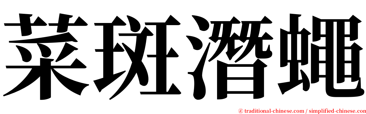 菜斑潛蠅 serif font