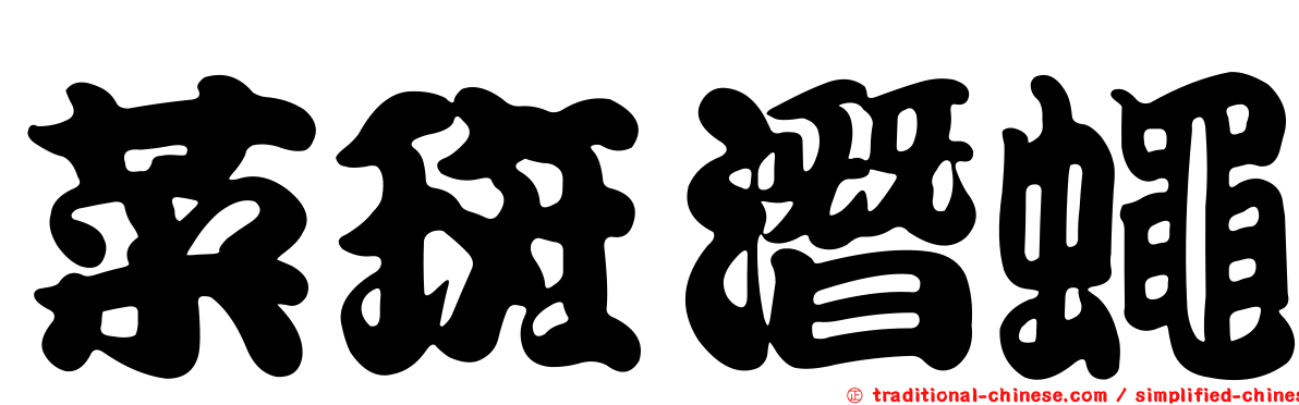 菜斑潛蠅