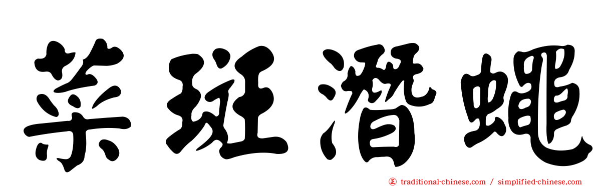 菜斑潛蠅