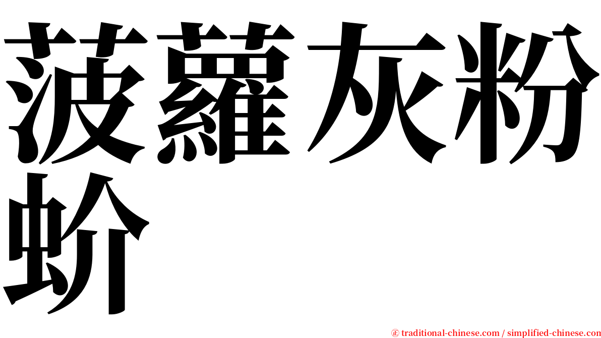 菠蘿灰粉蚧 serif font