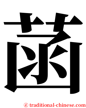 菡 serif font