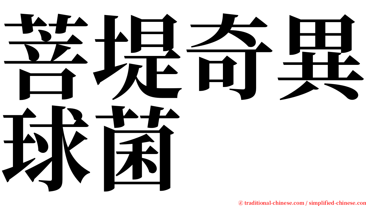 菩堤奇異球菌 serif font