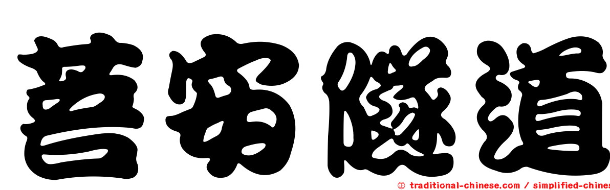 菩安隧道