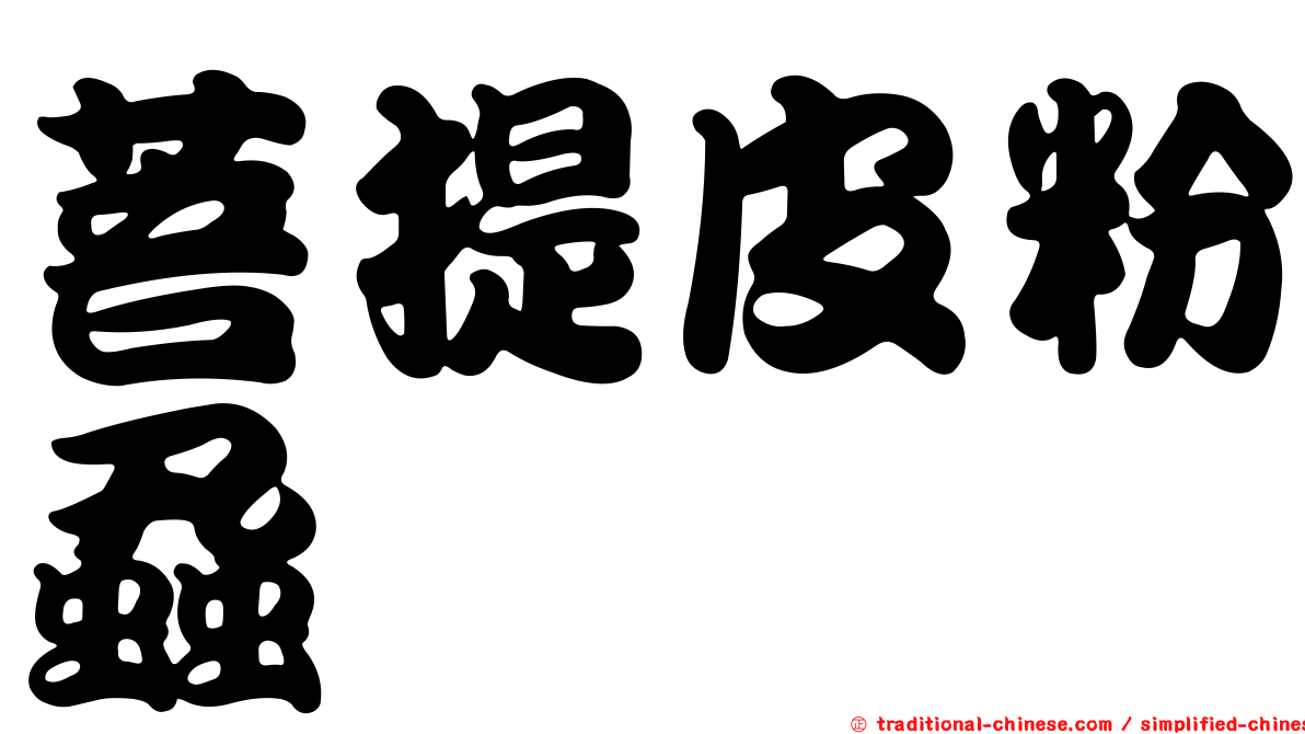 菩提皮粉蝨