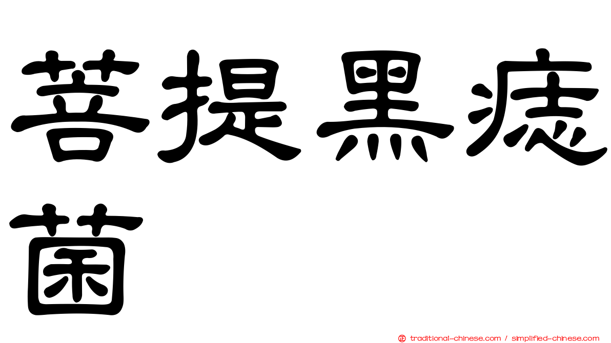 菩提黑痣菌