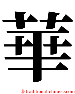 華 serif font