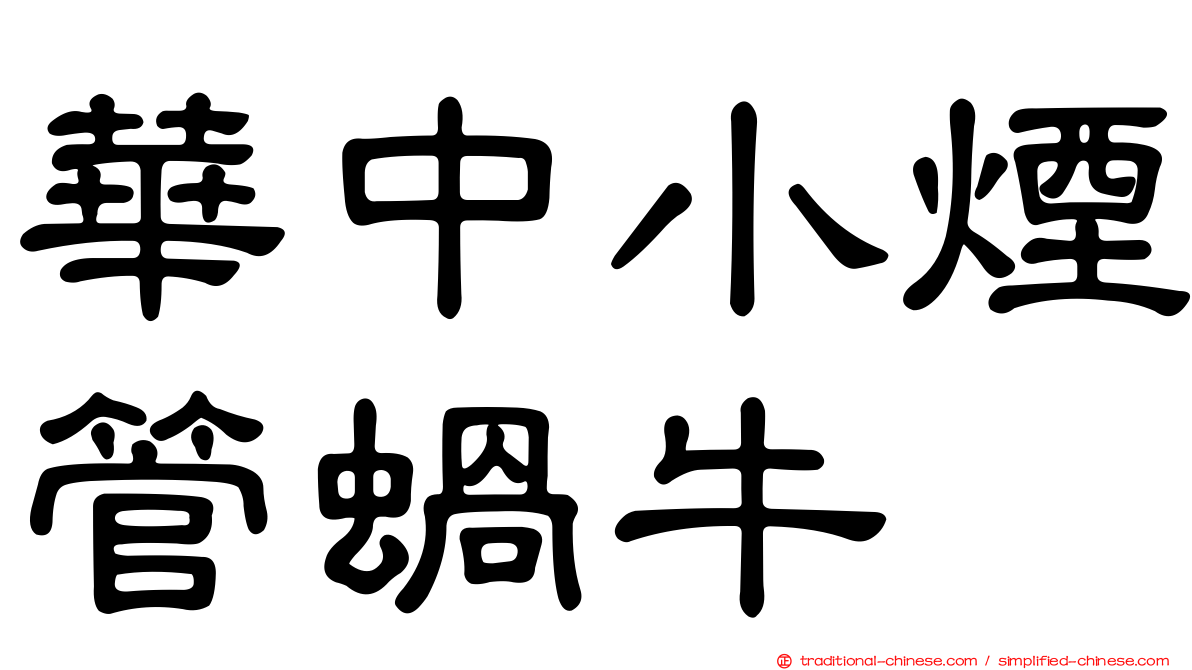 華中小煙管蝸牛