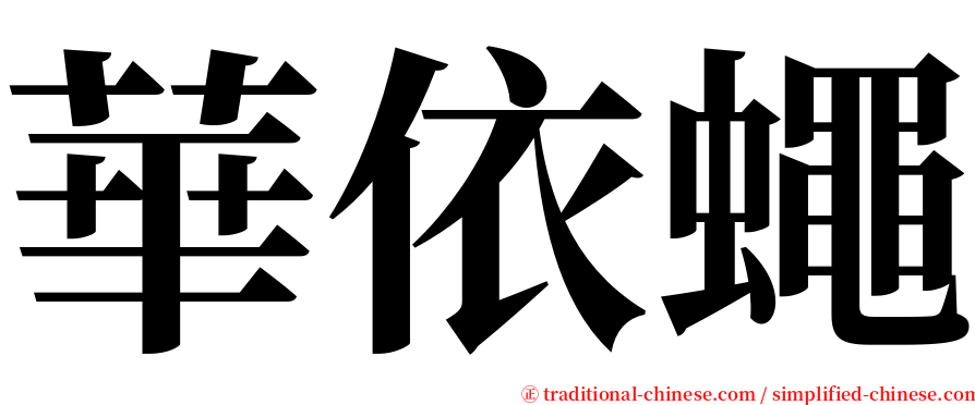 華依蠅 serif font