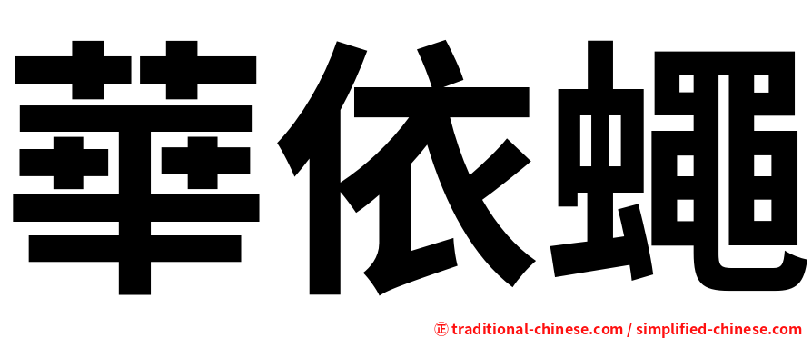 華依蠅