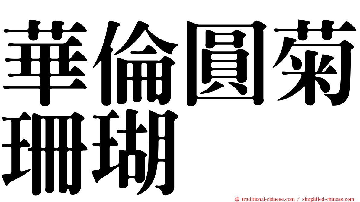 華倫圓菊珊瑚