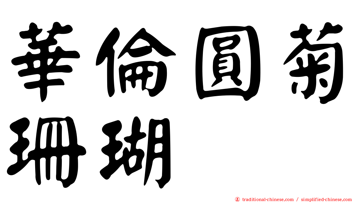 華倫圓菊珊瑚
