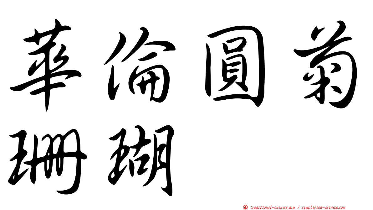 華倫圓菊珊瑚