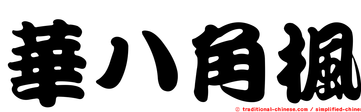 華八角楓