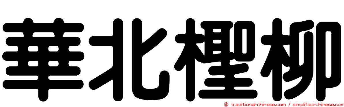 華北檉柳