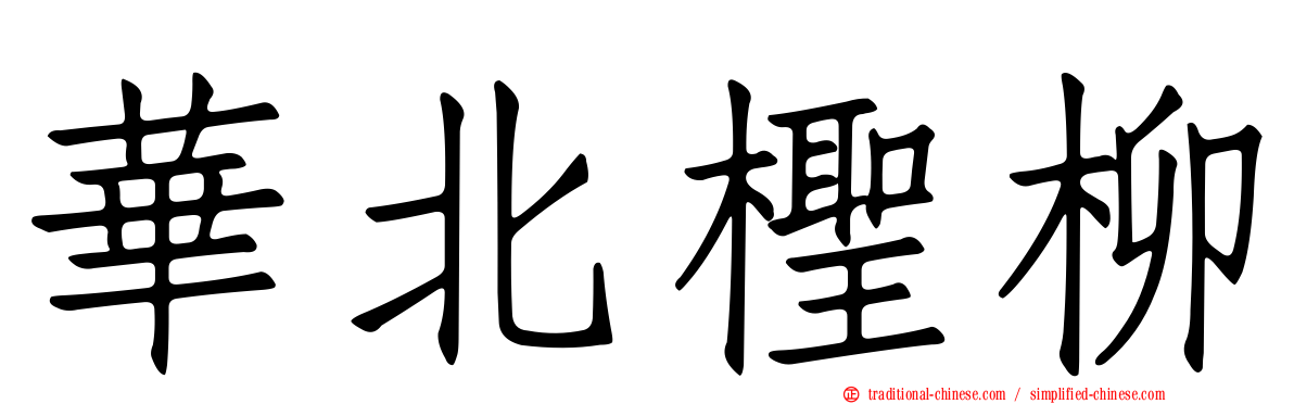 華北檉柳