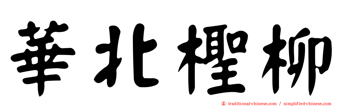 華北檉柳