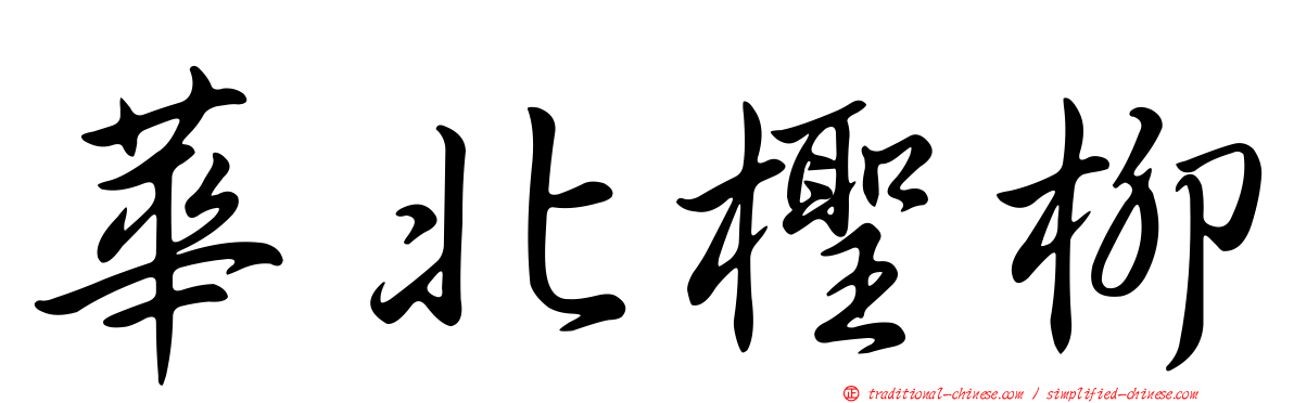 華北檉柳