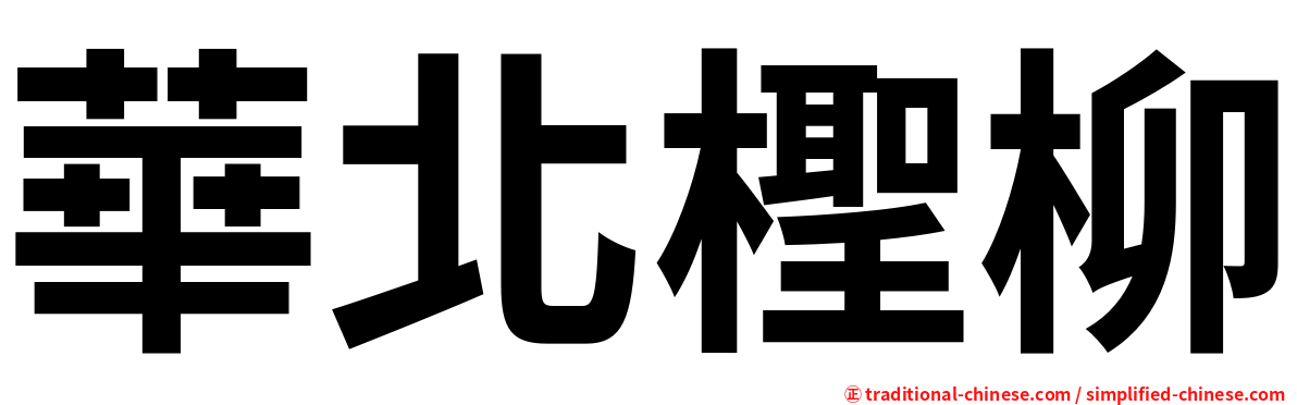 華北檉柳