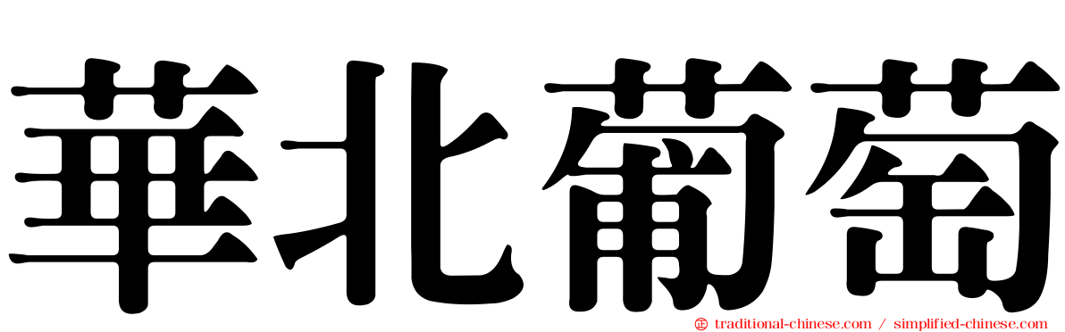 華北葡萄