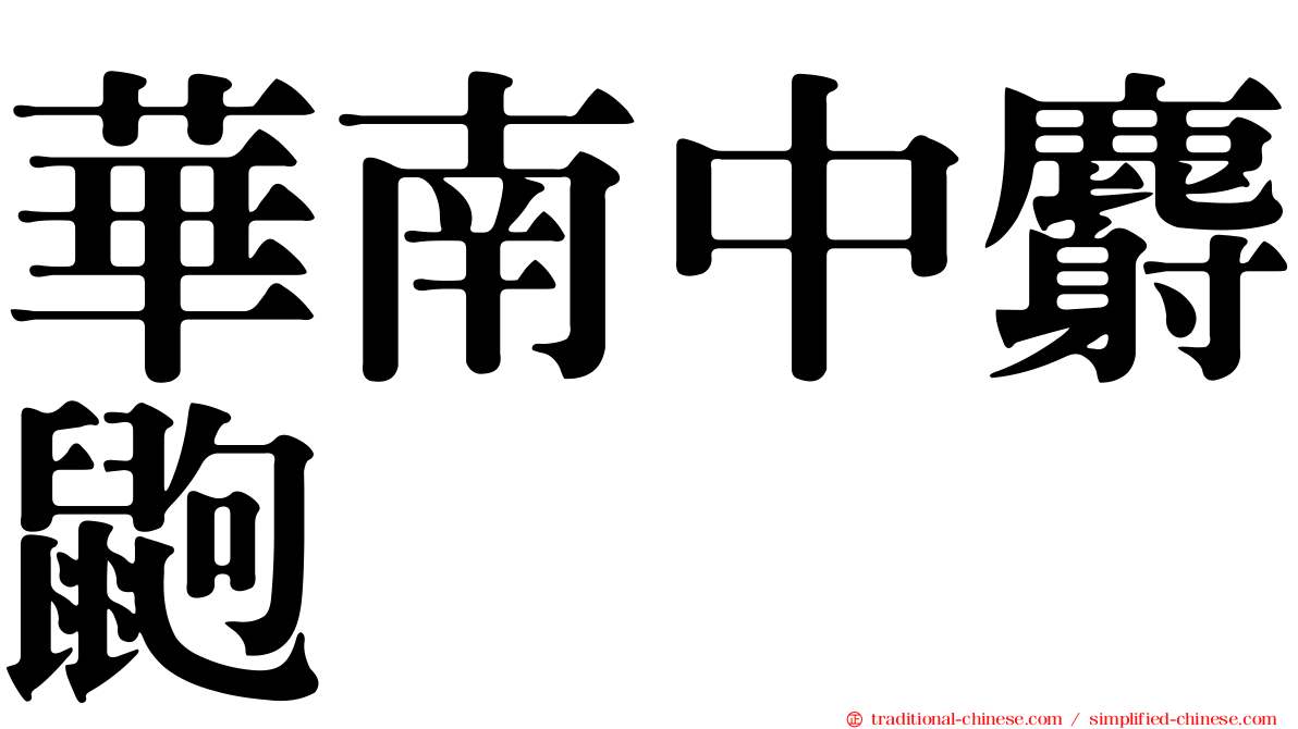 華南中麝鼩