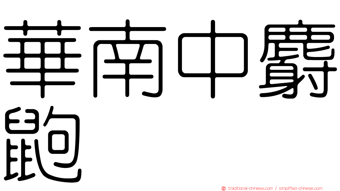 華南中麝鼩