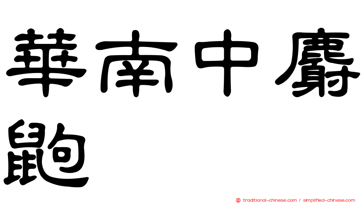 華南中麝鼩